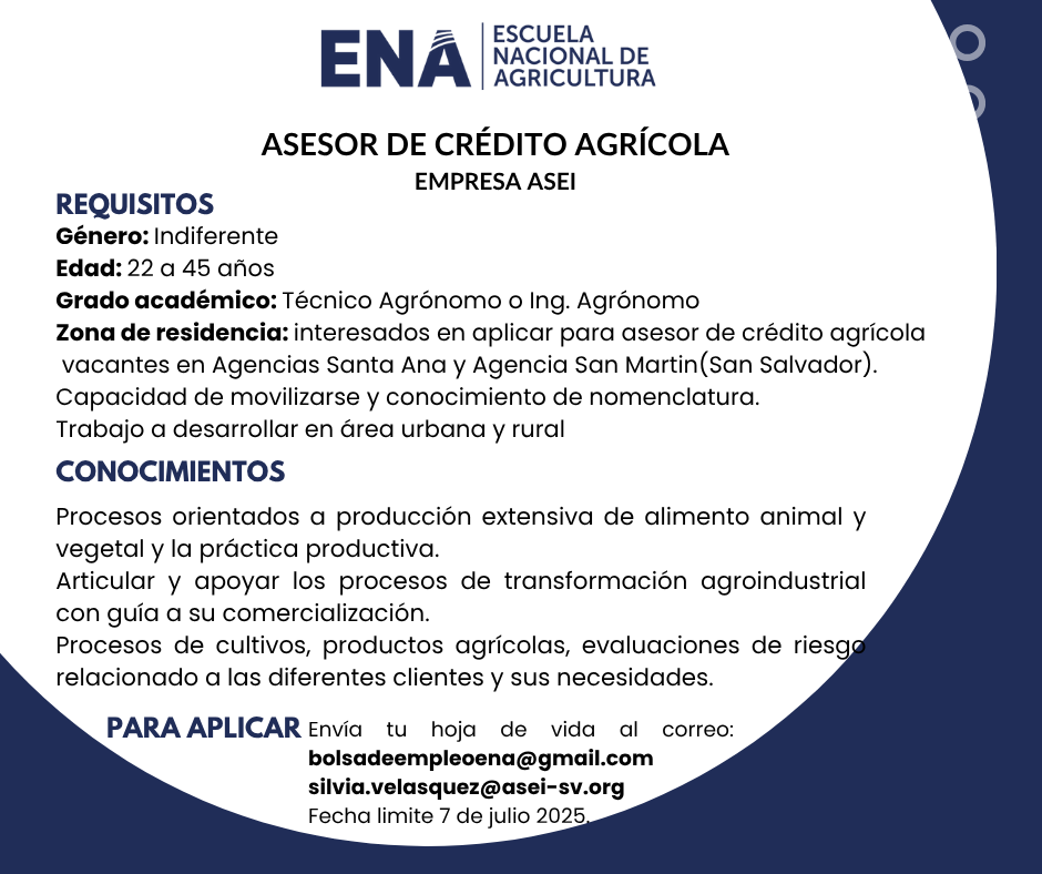 oferta