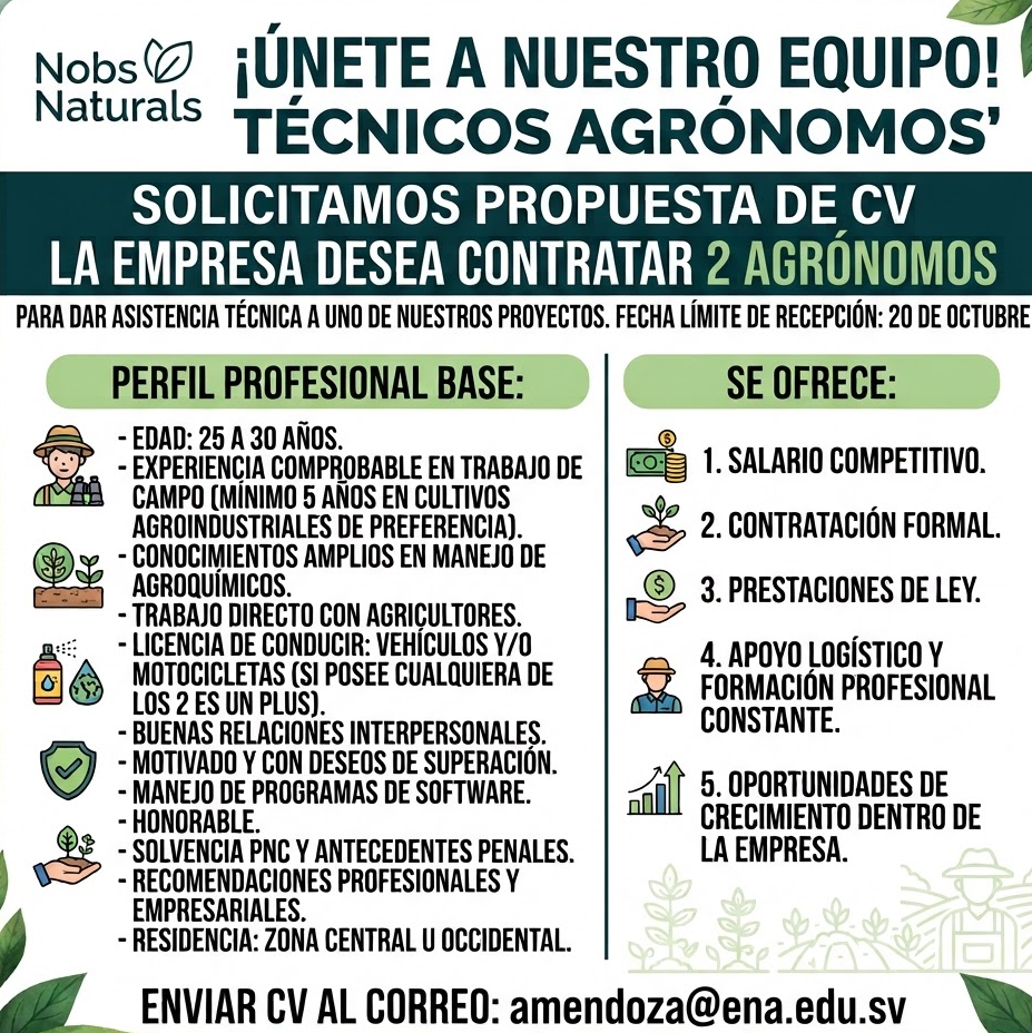 oferta