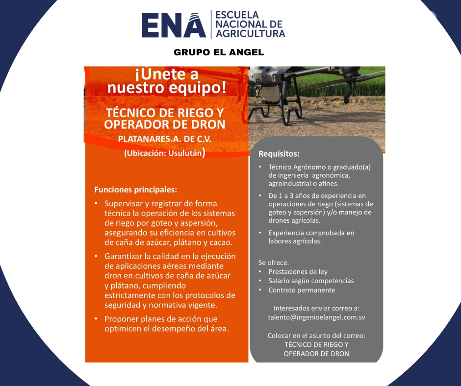 oferta