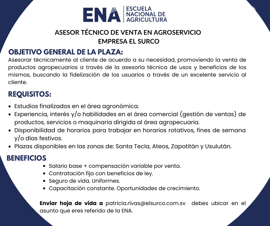 oferta