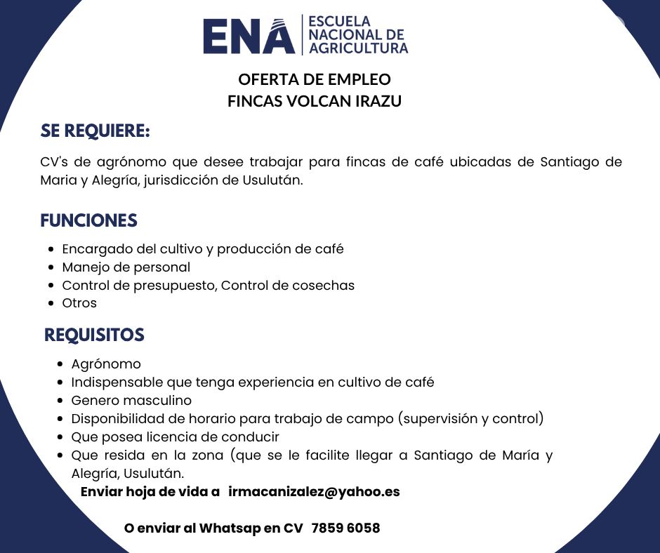 oferta